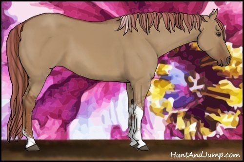 Horse Color:Painted Red Dun Tobiano Rabicano 