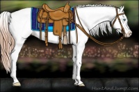 Horse Color:Smoky Black Pearl Appaloosa Rabicano