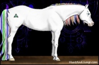 Horse Color:Painted White Spotted Gold Cream Champagne Pearl Dun Tobiano Appaloosa Rabicano 