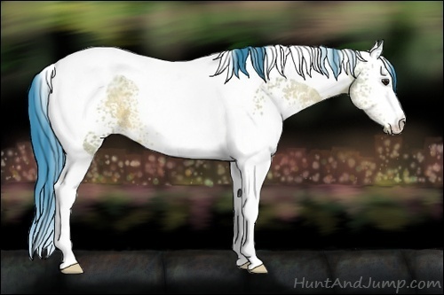 Horse Color:Watercolor White Spotted Bay Ice Dun Tobiano 