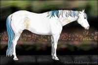 Horse Color:Watercolor White Spotted Bay Ice Dun Tobiano 