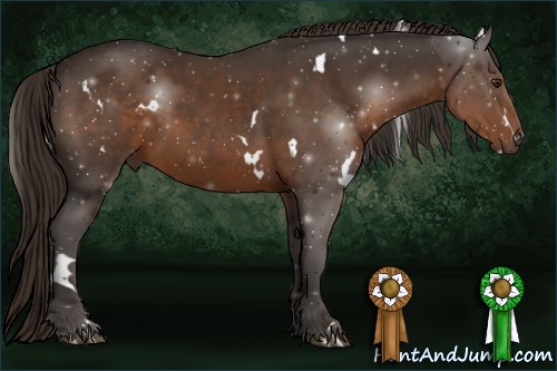 Horse Color:White Spotted Liver Chestnut Rabicano 
