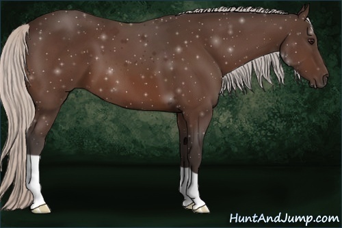 Horse Color:Silver Bay