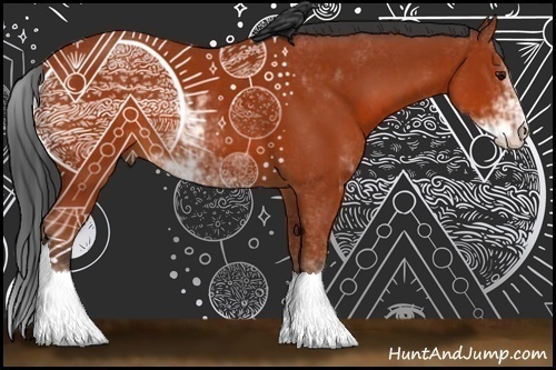 Horse Color:Bay Sabino 