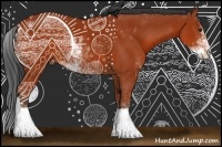 Horse Color:Bay Sabino