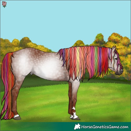 Horse Color:Gray Painted Chestnut 