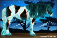 Horse Color:Thunderstruck Palomino Dun Tobiano Appaloosa Rabicano 