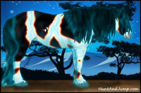 Horse Color:Gray Thunderstruck White Spotted Chestnut Appaloosa Rabicano 