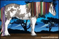 Horse Color:Painted White Spotted Grullo Splash Rabicano