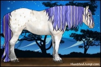 Horse Color:Painted White Spotted Bay Dun Appaloosa Rabicano 