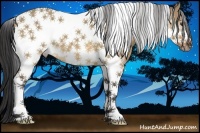 Horse Color:Buckskin Dun Tobiano Frame 