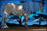 Horse Color:Painted White Spotted Grullo Rabicano 