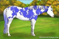 Horse Color:Watercolor White Spotted Blue Roan Splash