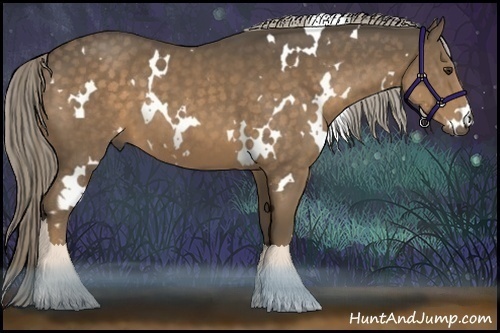 Horse Color:White Spotted Chocolate Palomino 