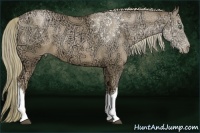 Horse Color:Liver Chestnut Ice Pearl 