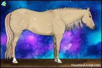 Horse Color:Palomino Dun