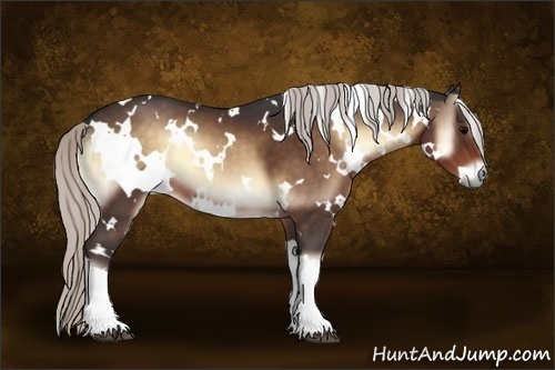 Horse Color:White Spotted Silver Bay Onyx 