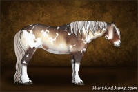Horse Color:White Spotted Silver Bay Onyx