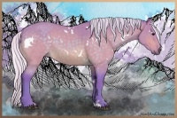 Horse Color:Watercolor White Spotted Silver Buckskin 