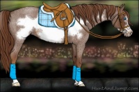 Horse Color:Red Roan Sabino Frame