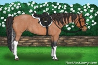 Horse Color:Bay Roan Tobiano