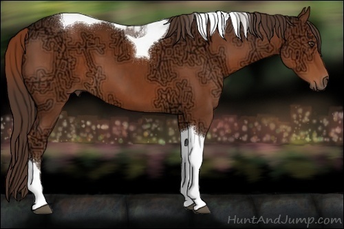Horse Color:Liver Chestnut Ice Sabino Tobiano 