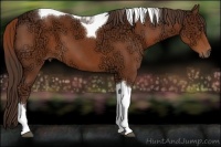 Horse Color:Liver Chestnut Ice Sabino Tobiano 
