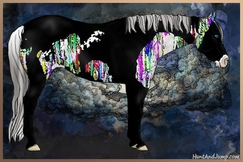 Horse Color:Black Ice Splash Tobiano Appaloosa 