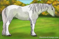 Horse Color:Watercolor Silver Blue Ice Roan Tobiano 