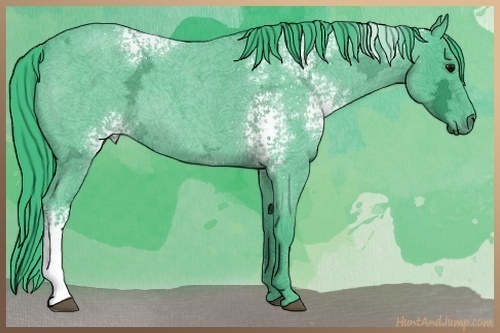 Horse Color:Watercolor White Spotted Blue Ice Roan 