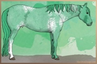 Horse Color:Watercolor White Spotted Blue Ice Roan 
