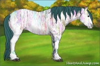 Horse Color:Watercolor White Spotted Bay Ice Splash