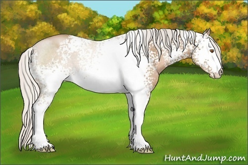 Horse Color:White Spotted Silver Black Pearl