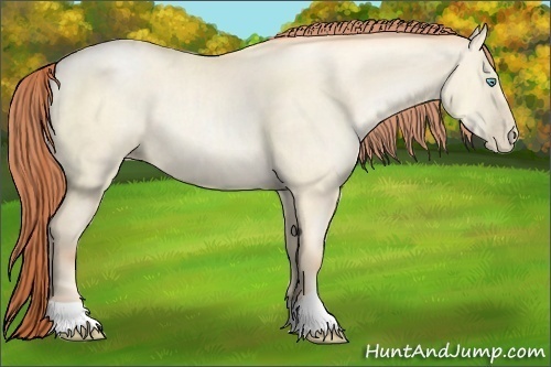 Horse Color:Classic Cream Champagne Pearl Dun Rabicano 