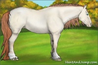 Horse Color:Classic Cream Champagne Pearl Dun Rabicano 