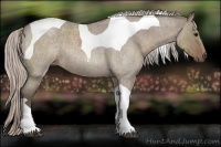 Horse Color:Silver Grullo Roan Tobiano 