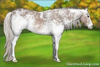 Horse Color:White Spotted Silver Brown Ice 