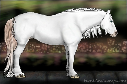 Horse Color:Smoky Black Pearl Sabino Tobiano Appaloosa 