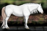 Horse Color:Smoky Black Pearl Sabino Tobiano Appaloosa