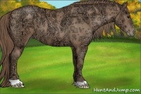 Horse Color:Black Ice Pearl