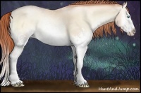 Horse Color:White Spotted Classic Cream Champagne Pearl Onyx Splash