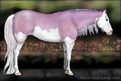 Horse Color:Watercolor Silver Black Pearl Sabino Splash