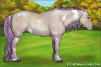 Horse Color:Watercolor White Spotted Black Pearl Sabino Rabicano 