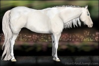 Horse Color:Silver Smoky Grullo Ice Roan Pearl Tobiano Rabicano