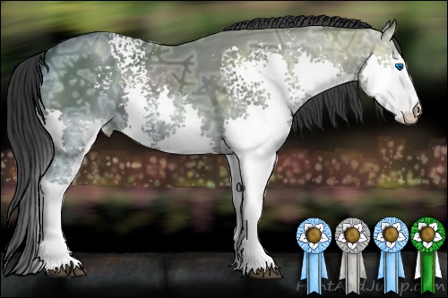 Horse Color:White Spotted Black Ice Splash 