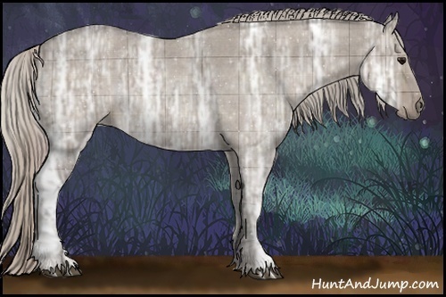 Horse Color:Plaid  Silver Grullo Ice Roan Rabicano 
