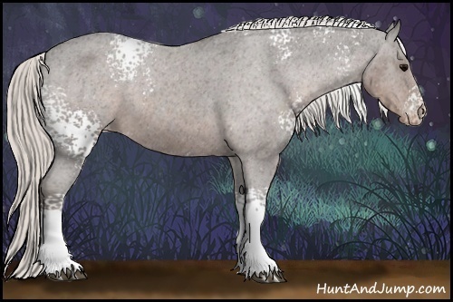 Horse Color:White Spotted Silver Black Appaloosa 