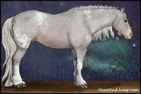 Horse Color:White Spotted Silver Black Appaloosa 