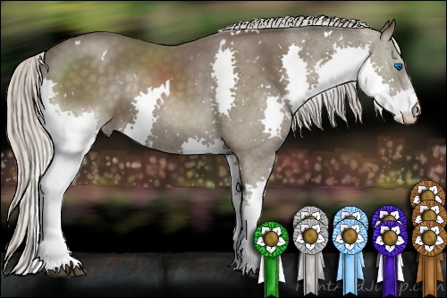 Horse Color:White Spotted Silver Black Sabino Splash