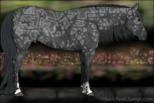 Horse Color:Black Ice Sabino Rabicano 